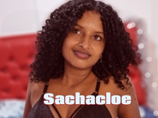 Sachacloe