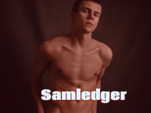 Samledger