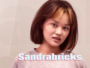 Sandrabricks