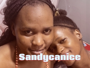 Sandycanice