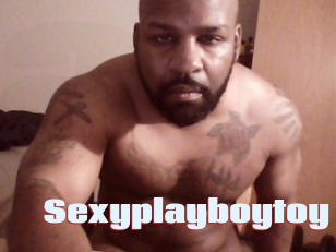 Sexyplayboytoy