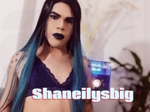 Shaneilysbig