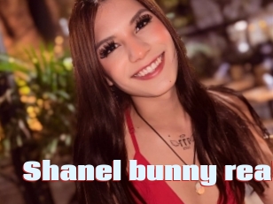 Shanel_bunny_real