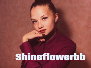 Shineflowerbb