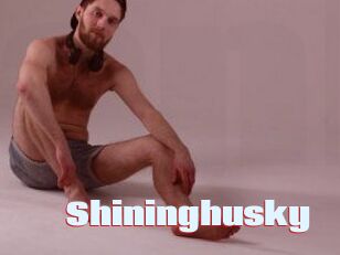 Shininghusky
