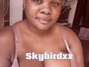 Skybirdxx