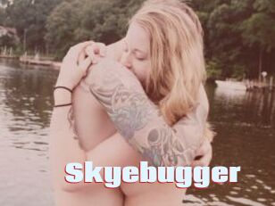 Skyebugger