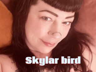 Skylar_bird