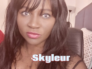 Skyleur