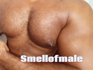 Smellofmale