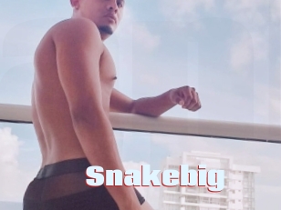 Snakebig