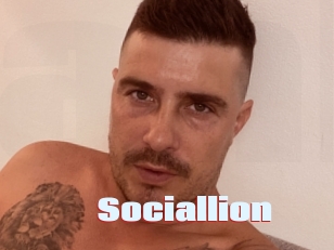 Sociallion