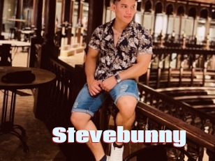 Stevebunny