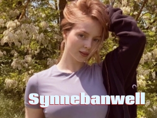 Synnebanwell