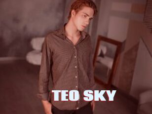 TEO_SKY