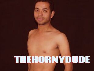 THEHORNYDUDE