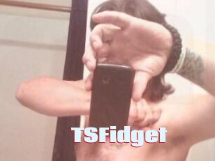 TSFidget