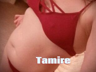 Tamire Anal Open