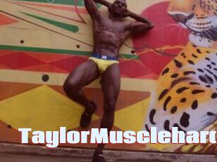 TaylorMusclehard