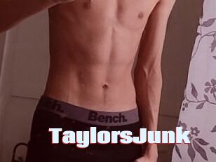 TaylorsJunk