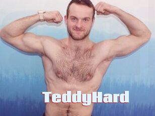 TeddyHard Anal Open