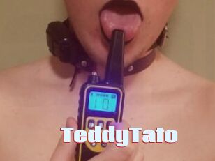 TeddyTato