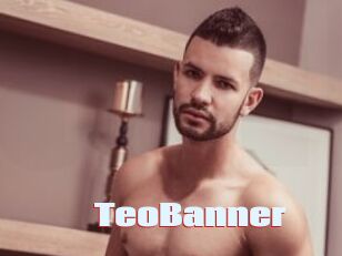 TeoBanner