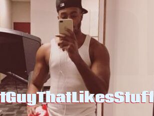 ThatGuyThatLikesStuff