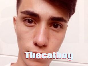 Thecatboy