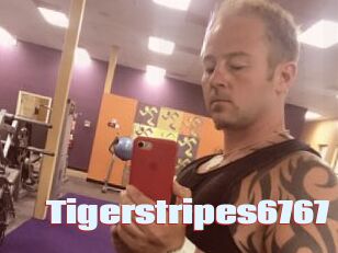 Tigerstripes6767