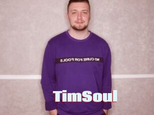 TimSoul