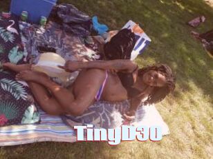 TinyD30