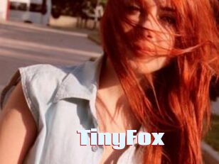 TinyFox