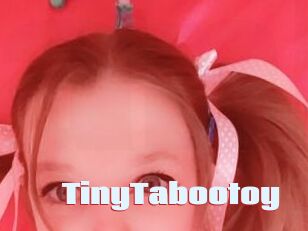 TinyTabootoy