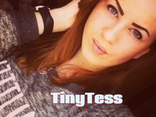 TinyTess