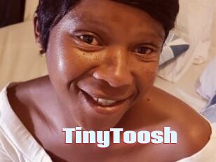 TinyToosh