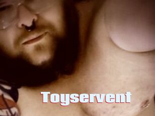 Toyservent