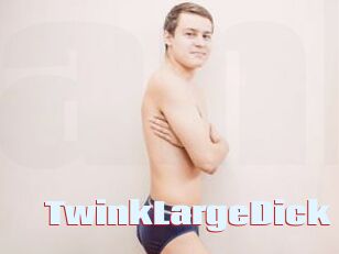TwinkLargeDick