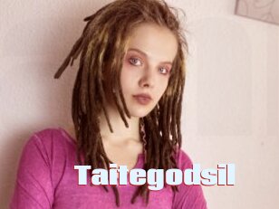 Taitegodsil