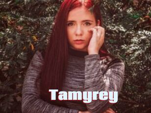 tamyrey Anal Open