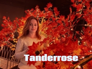 Tanderrose