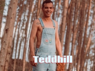 Teddhill