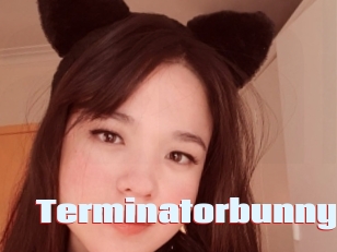 Terminatorbunny