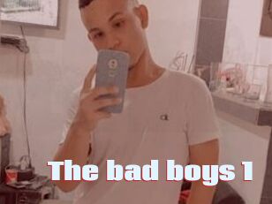 The_bad_boys_1