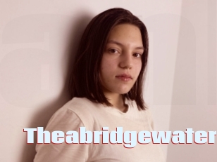 Theabridgewater