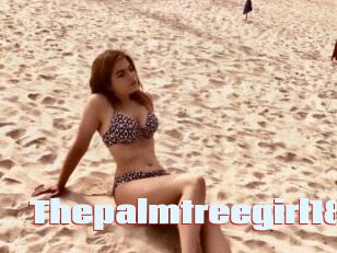 Thepalmtreegirl18