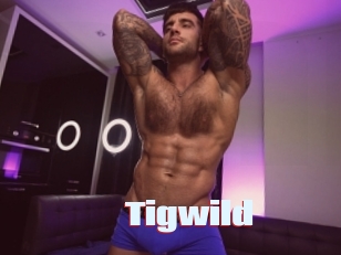 tigwild Anal Open
