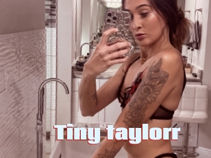 Tiny_taylorr