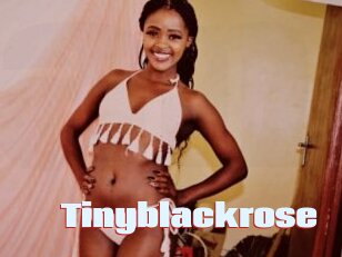 Tinyblackrose