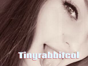 Tinyrabbitcol